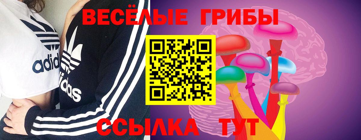 Псилоцибиновые грибы мицелий Нижневартовск